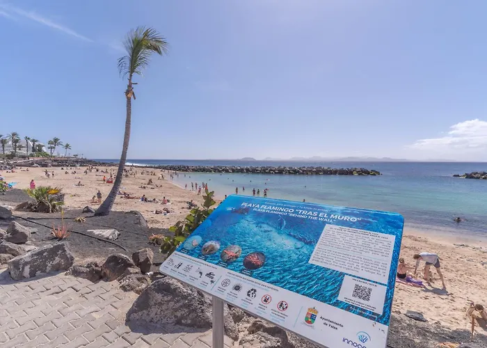 Apartamento Playa Flamingo C *